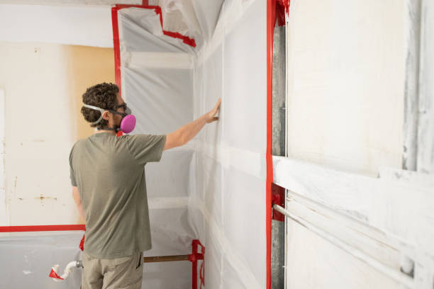 Best Mold Documentation for Insurance Claims  in Gordon, GA