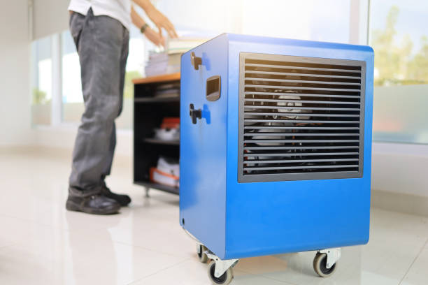 Best Air Quality Testing for Mold Spores  in Gordon, GA