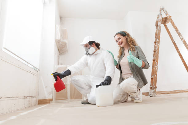 Best Emergency Mold Remediation  in Gordon, GA