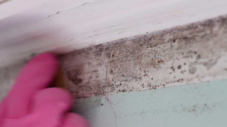 Best Forensic Mold Investigation  in Gordon, GA